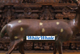 White Whale Brass Vastu/Feng Brass Deer Statue for Longevity and Energetic Environment