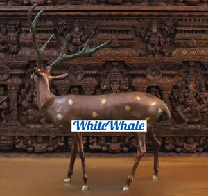 White Whale Brass Vastu/Feng Brass Deer Statue for Longevity and Energetic Environment