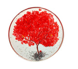 White Whale Gemstone Rock Crystal Round Tree Coaster Healing Reiki FENG Shui Gift Spiritual Luck